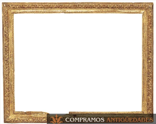 15-Astragal-marco-dorado
